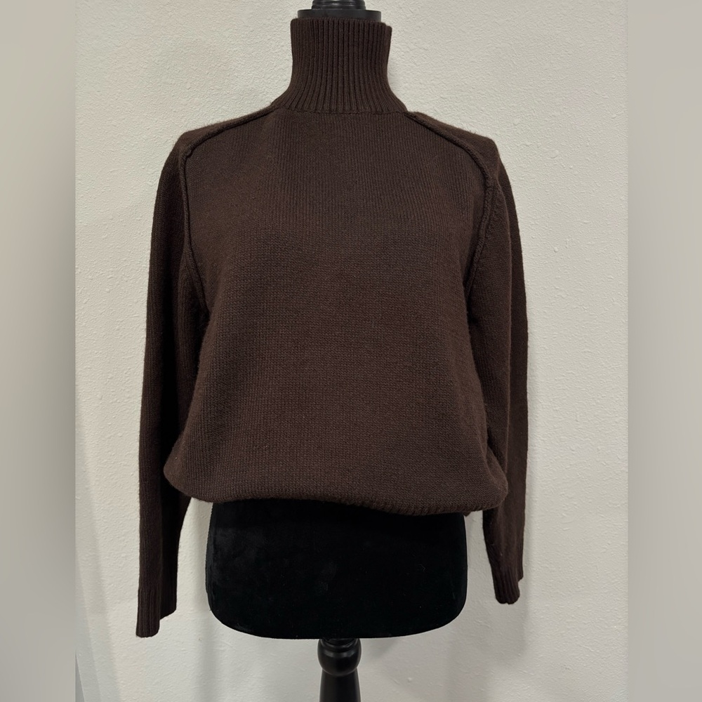 H&M Dark Brown Turtleneck Sweater